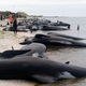 Image: AP